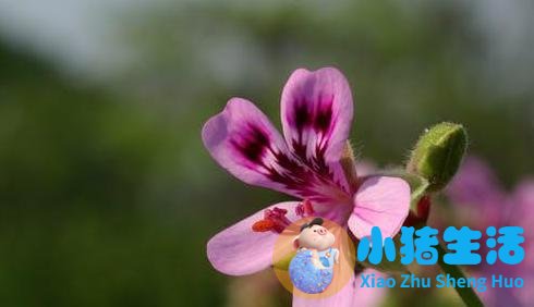 婚姻经营的句子唯美短句 婚姻经营智慧(图10)