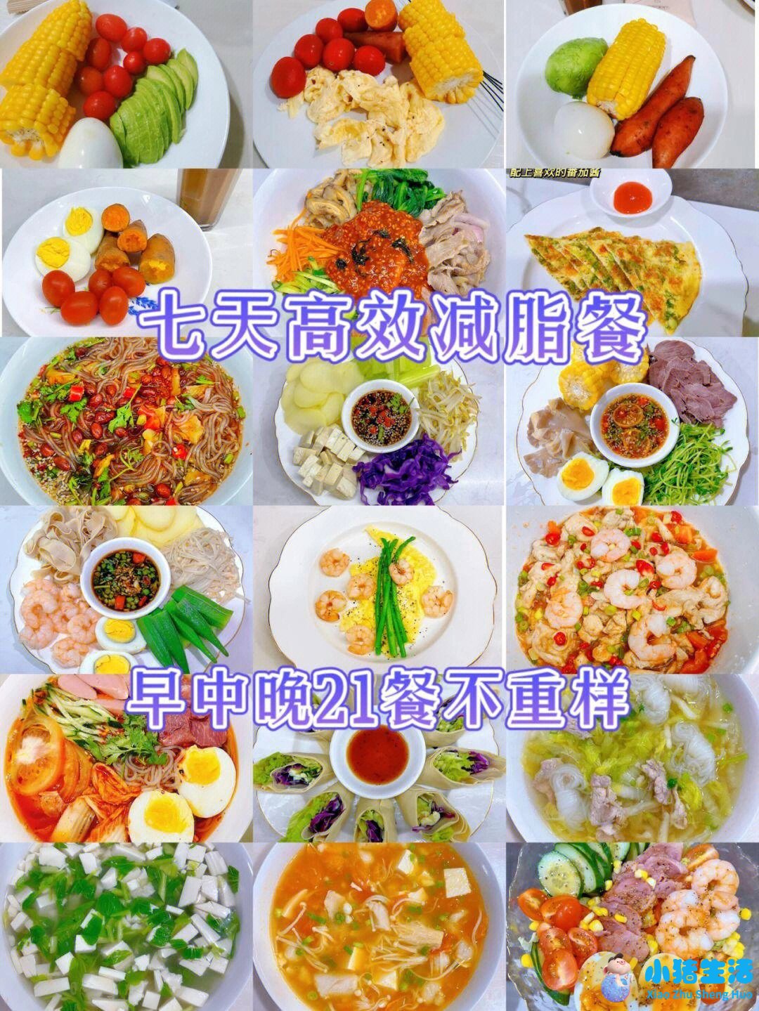 鲁豫真正的减肥方法