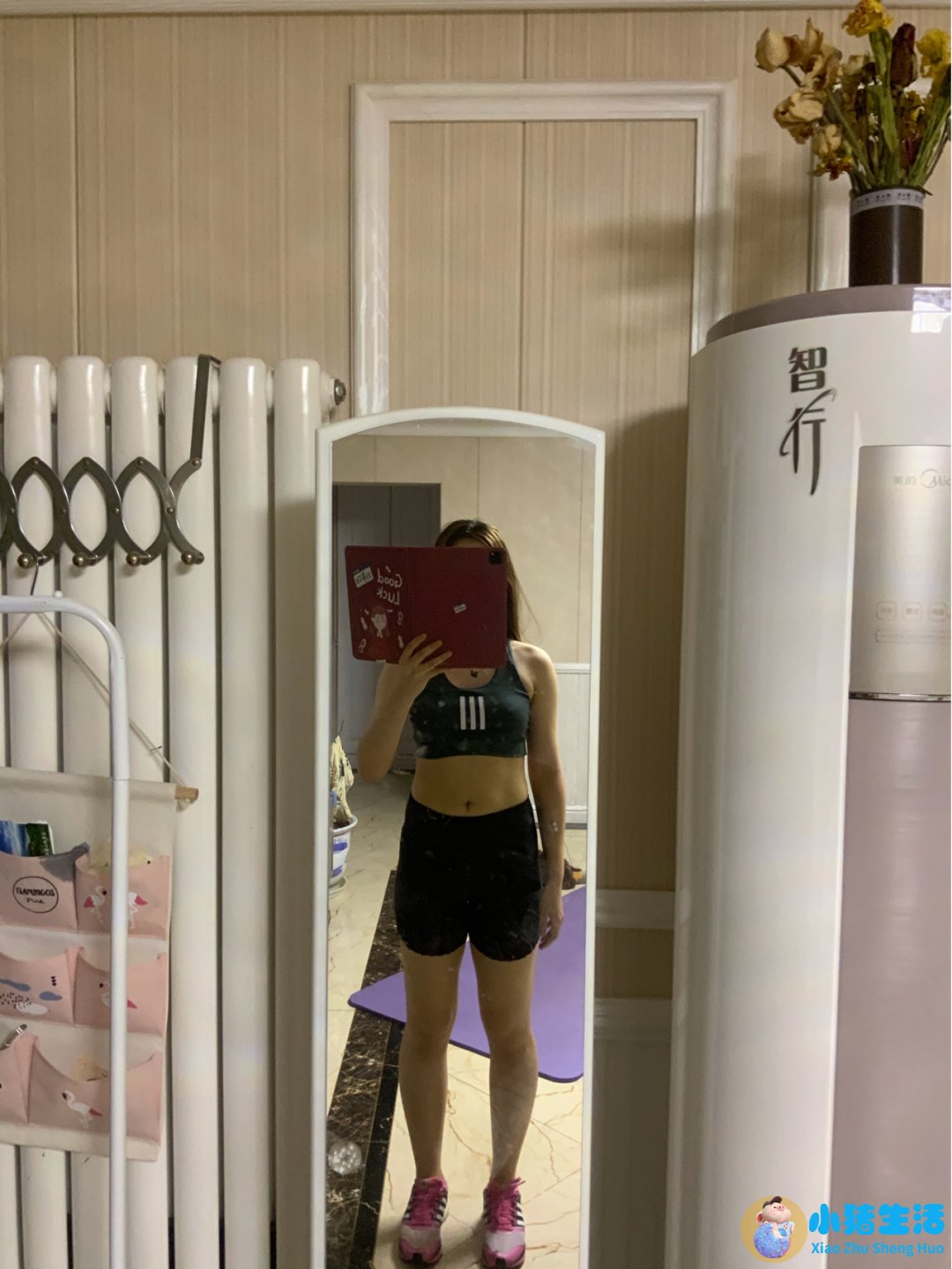 运动减肥成功案例