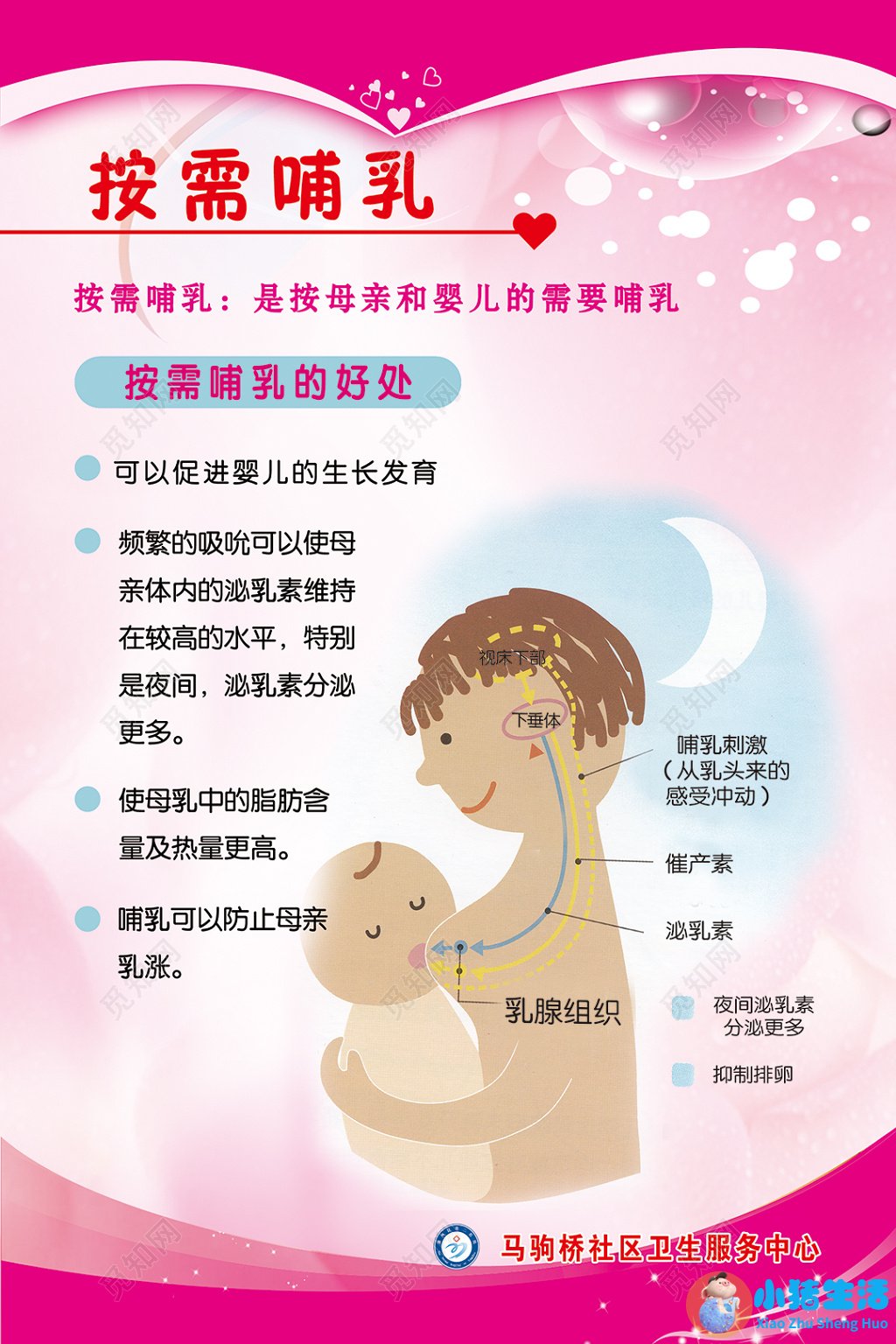 新生儿育儿指南