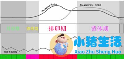 房事