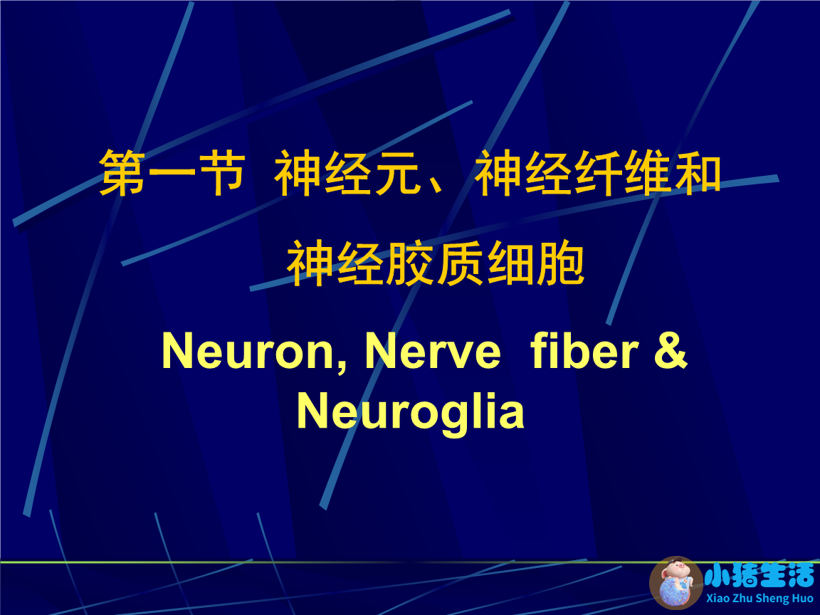 生活百科知识竞赛题库