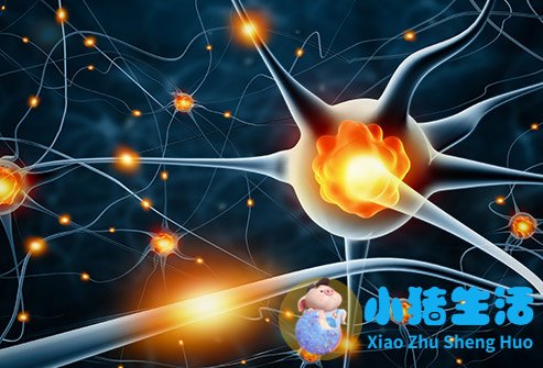 生活百科知识竞赛题库