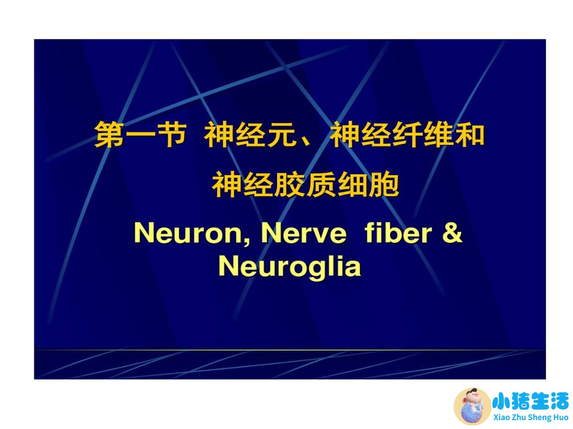 生活百科知识竞赛题库