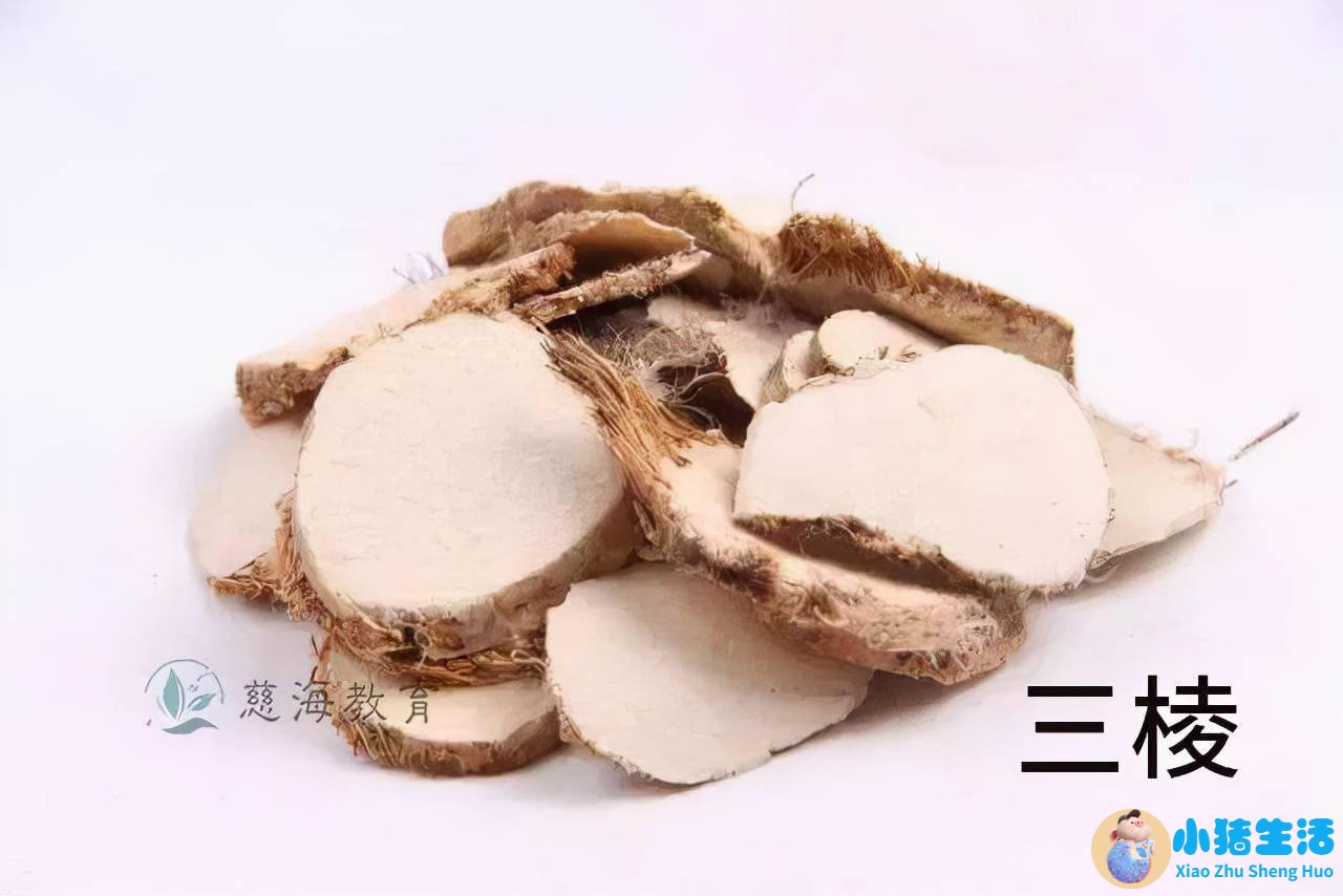 味苦性温的中药有哪些