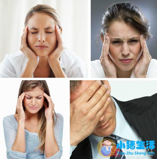 男性养生 女性养生,白领养生