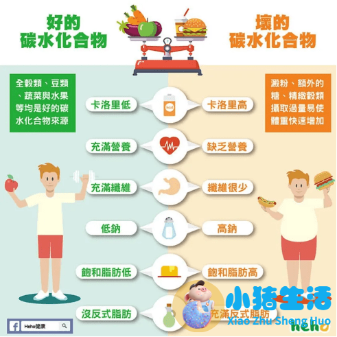 健康饮食减肥计划