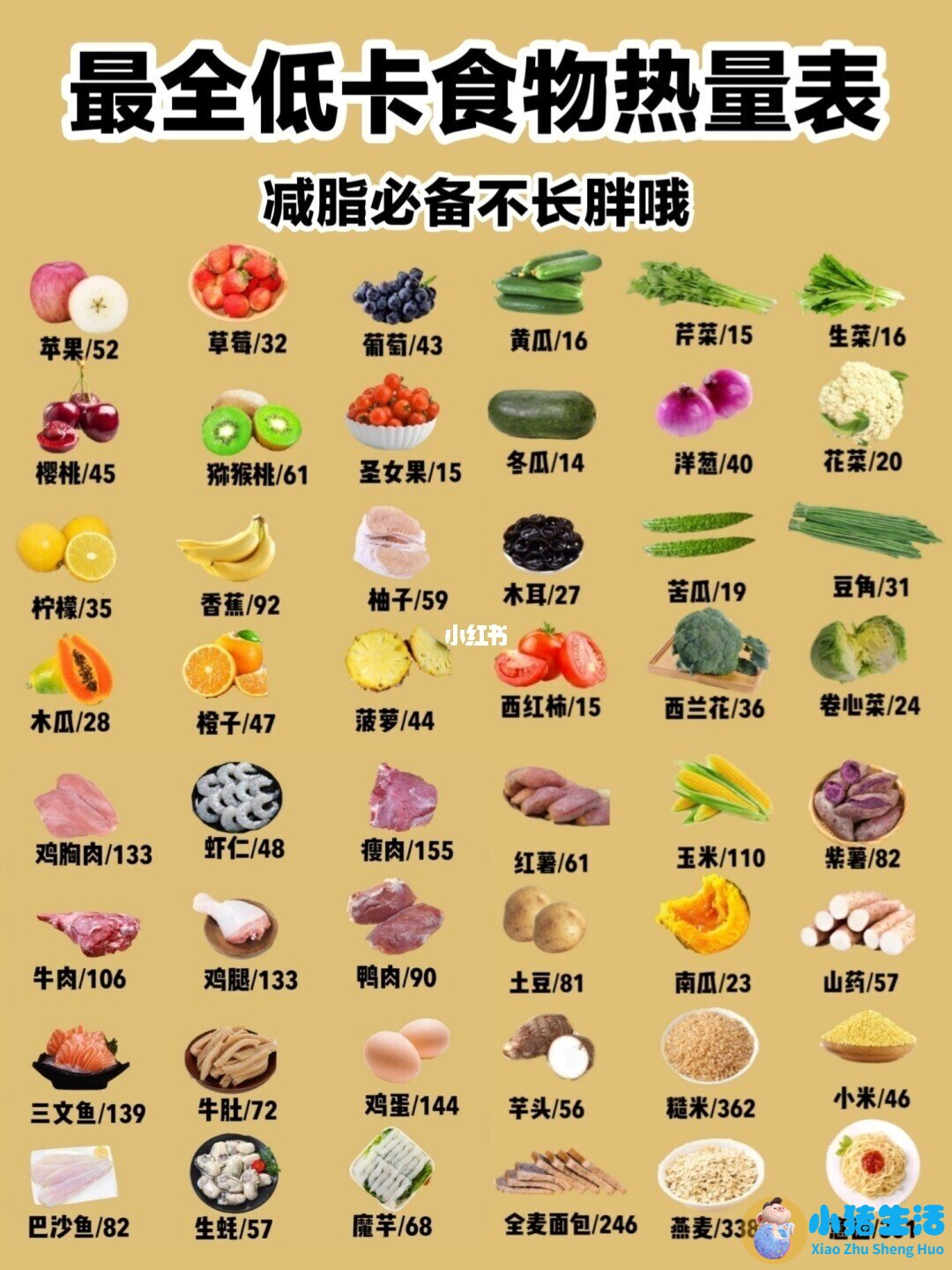 健康饮食减肥计划