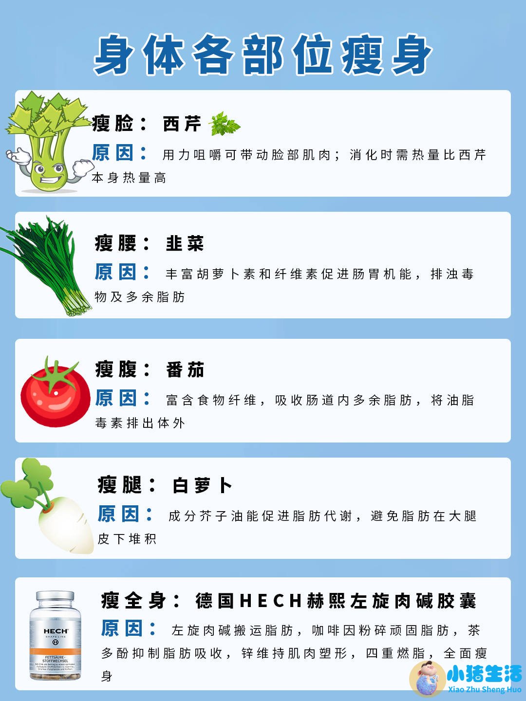 健康饮食减肥计划