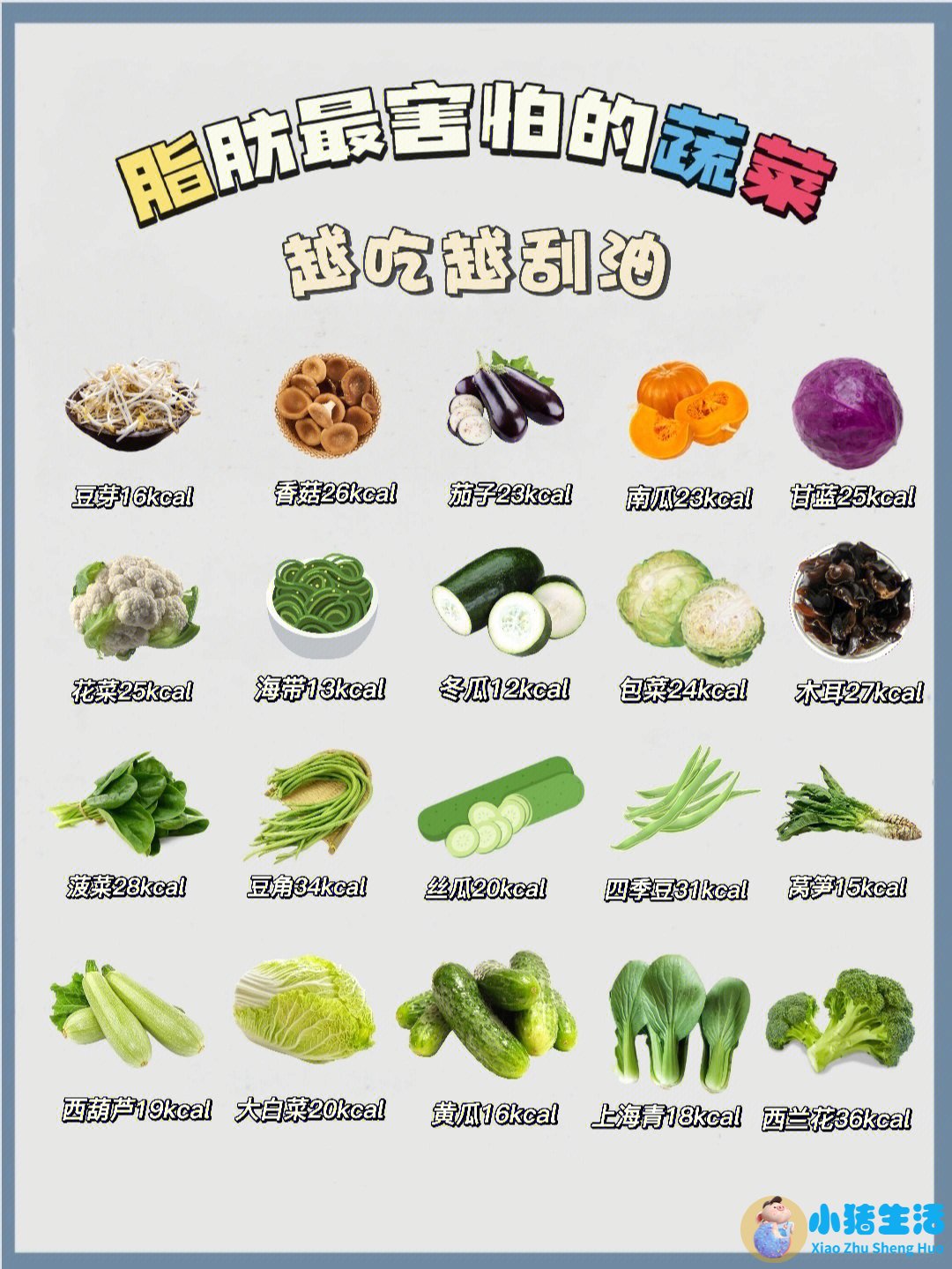 健康饮食减肥计划