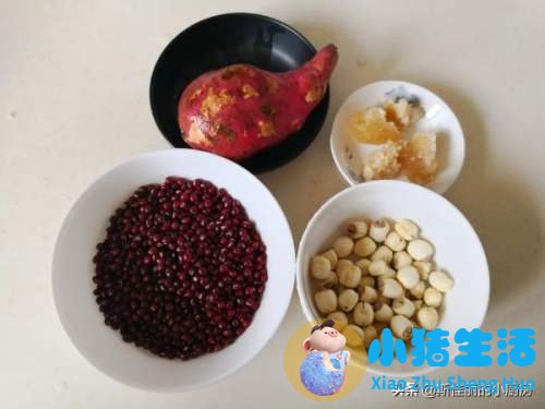 女性上班族养生喝什么
