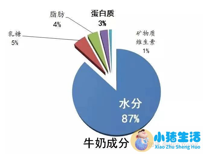 冬季养生小知识食品安全常识
