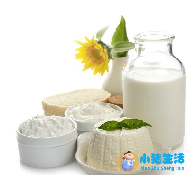 冬季养生小知识食品安全常识