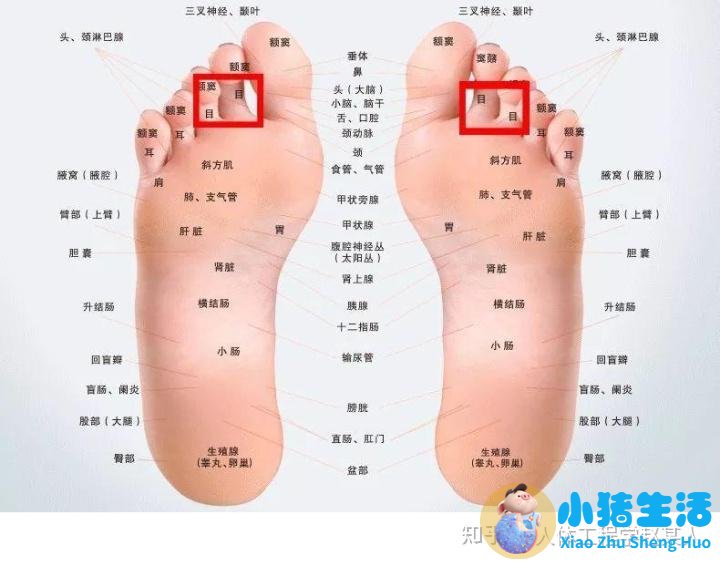 局部减肥有效果吗