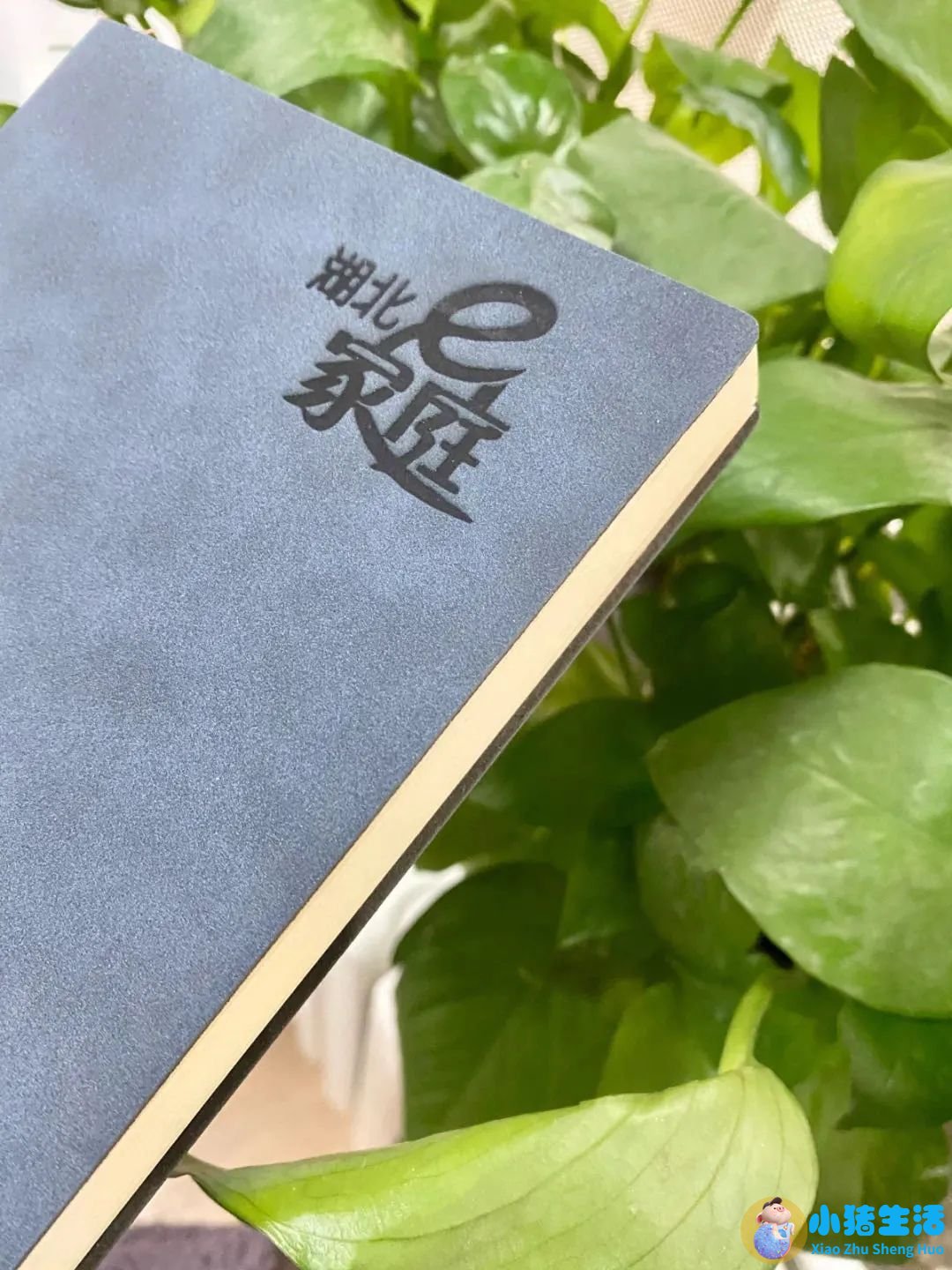 0至3岁幼儿早期教育