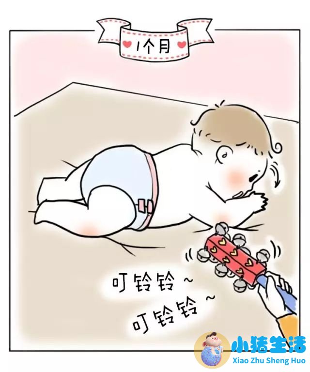 8个月宝宝早期教育