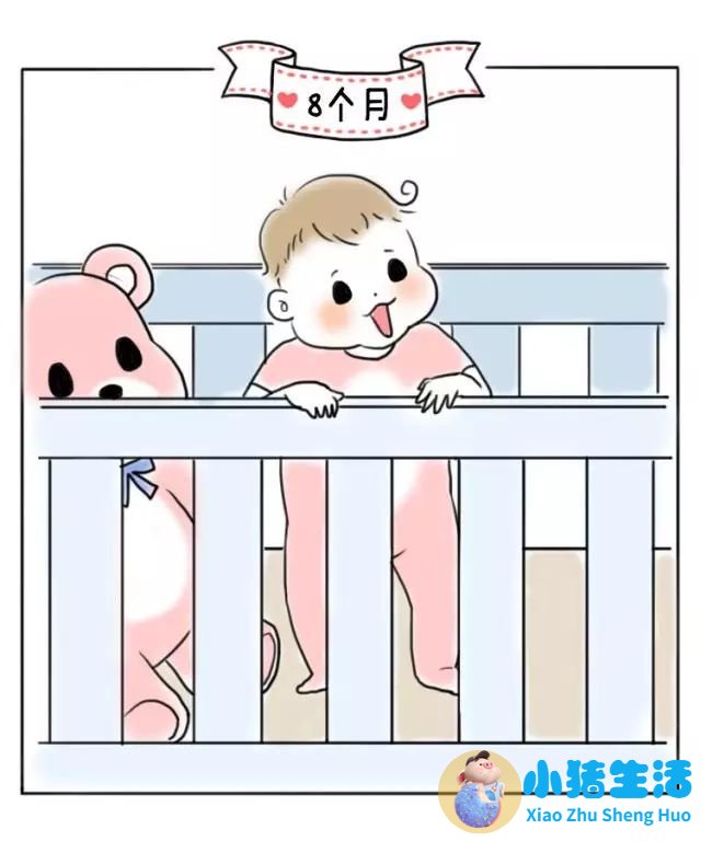 8个月宝宝早期教育