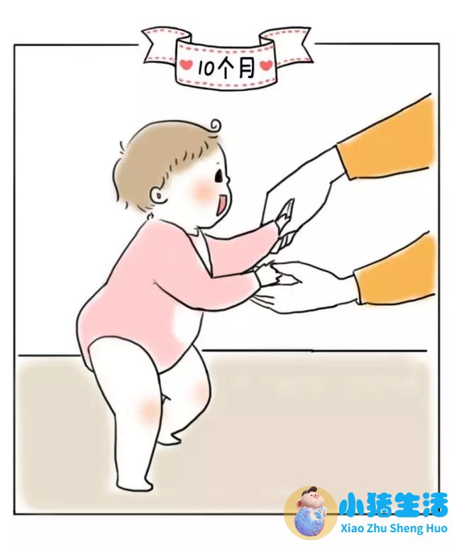 8个月宝宝早期教育