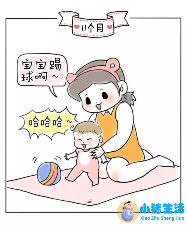 8个月宝宝早期教育