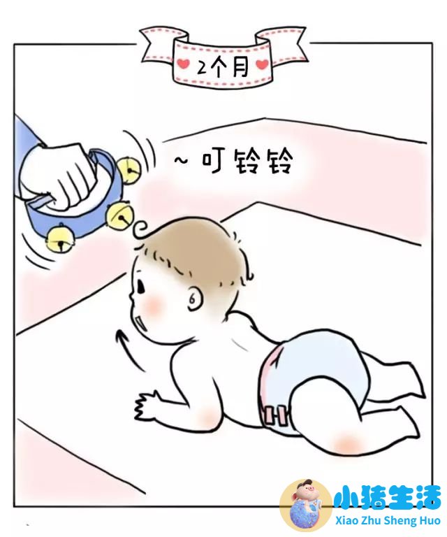 8个月宝宝早期教育