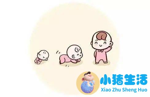 8个月宝宝早期教育