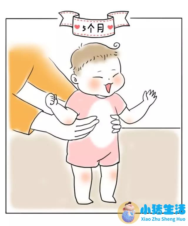 8个月宝宝早期教育