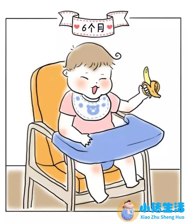 8个月宝宝早期教育