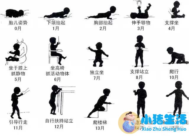 8个月宝宝早期教育