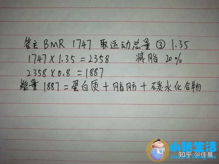 怎么样科学减肥最有效