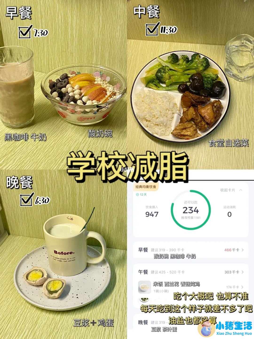 怎么样科学减肥最有效