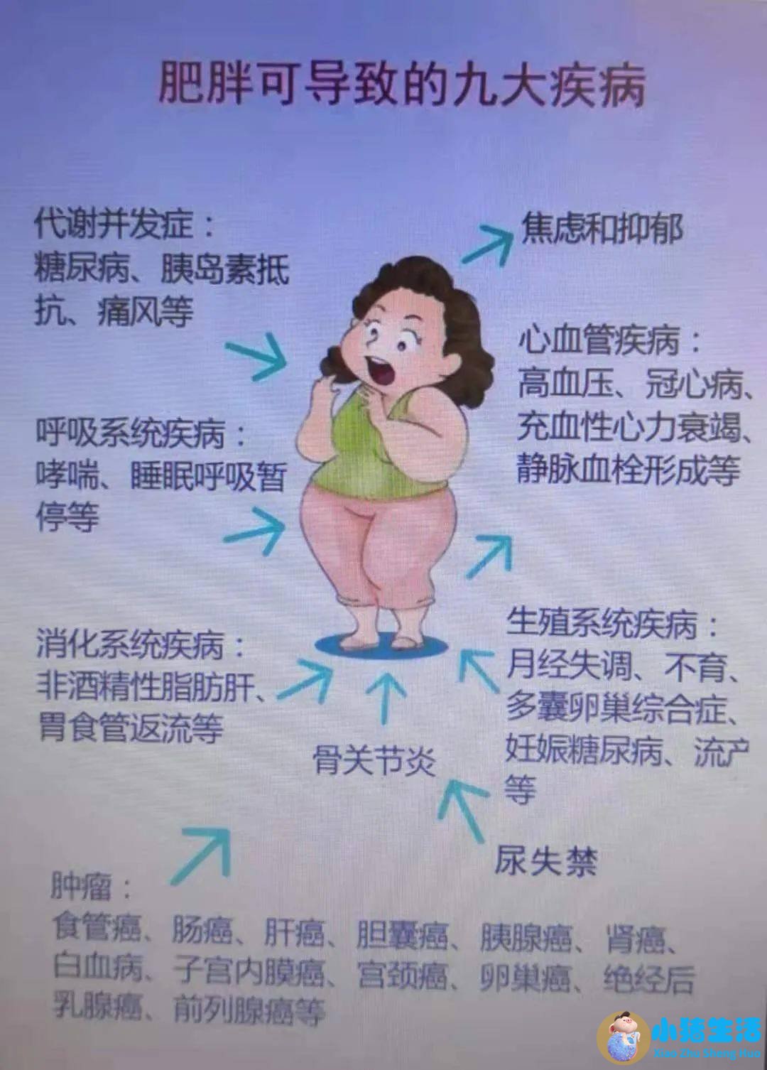 怎么样科学减肥最有效