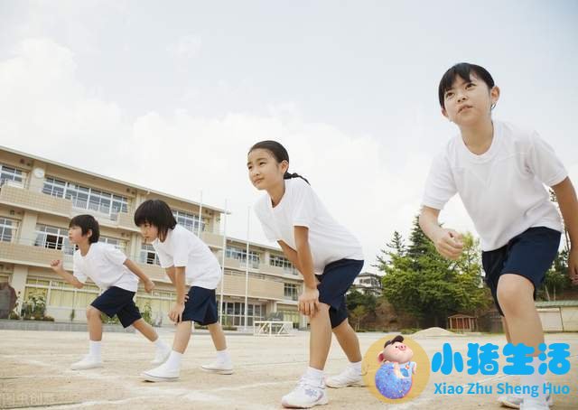 早期教育研究方法:国际视野下的理论与实践