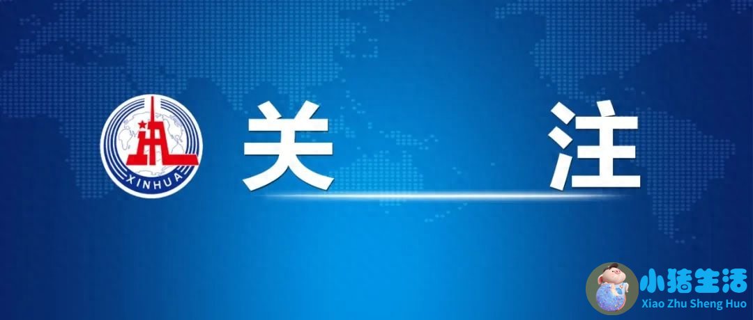 中央纪委国家监委公开通报