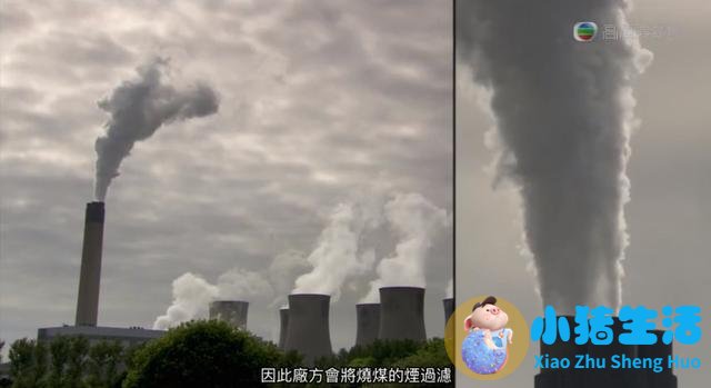 生活百科