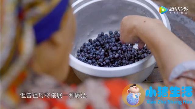 生活百科