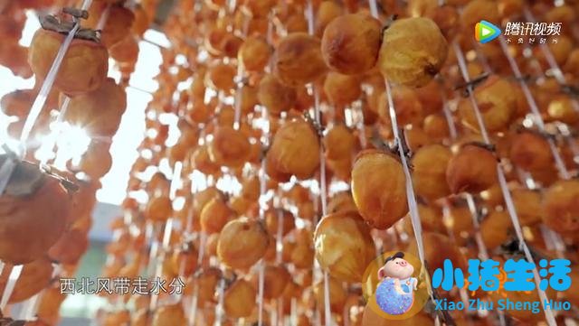 生活百科