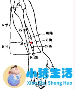 埋线局部减肥
