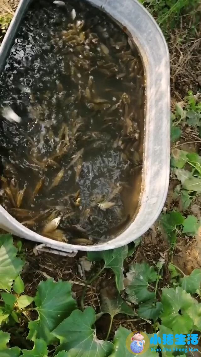 健康生活百科小常识