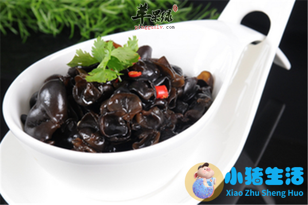 木耳每天吃好吗