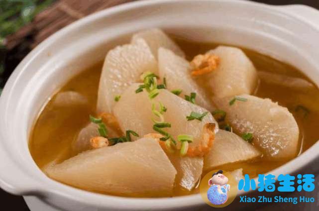 冬天养生吃什么食物