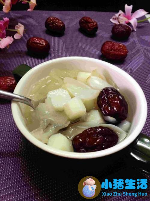 冬天养生吃什么食物