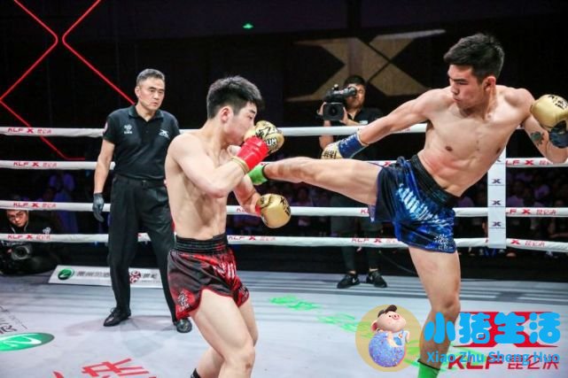 宝力豪健身俱乐部 北京 内部图片