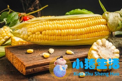 玉米