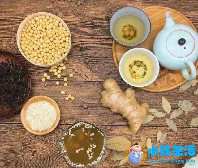 冬天养生吃什么食物