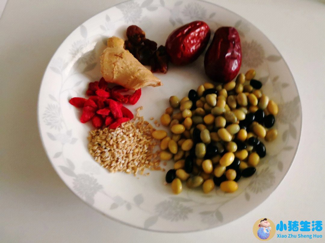 冬天养生吃什么食物