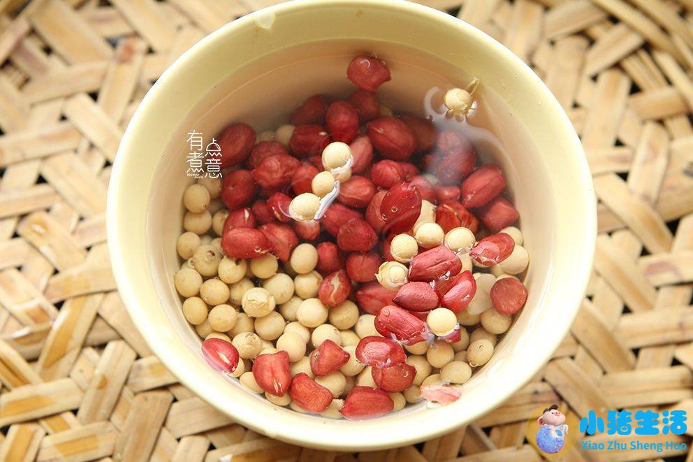 冬天养生吃什么食物
