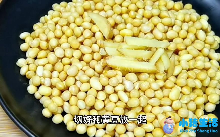 冬天养生吃什么食物