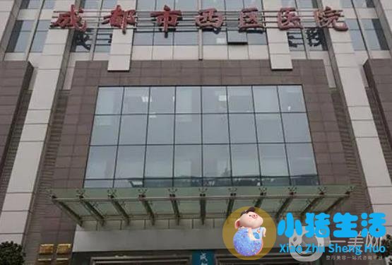 双眼皮整形失败的案例