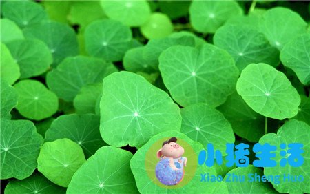 女性春季养生小常识