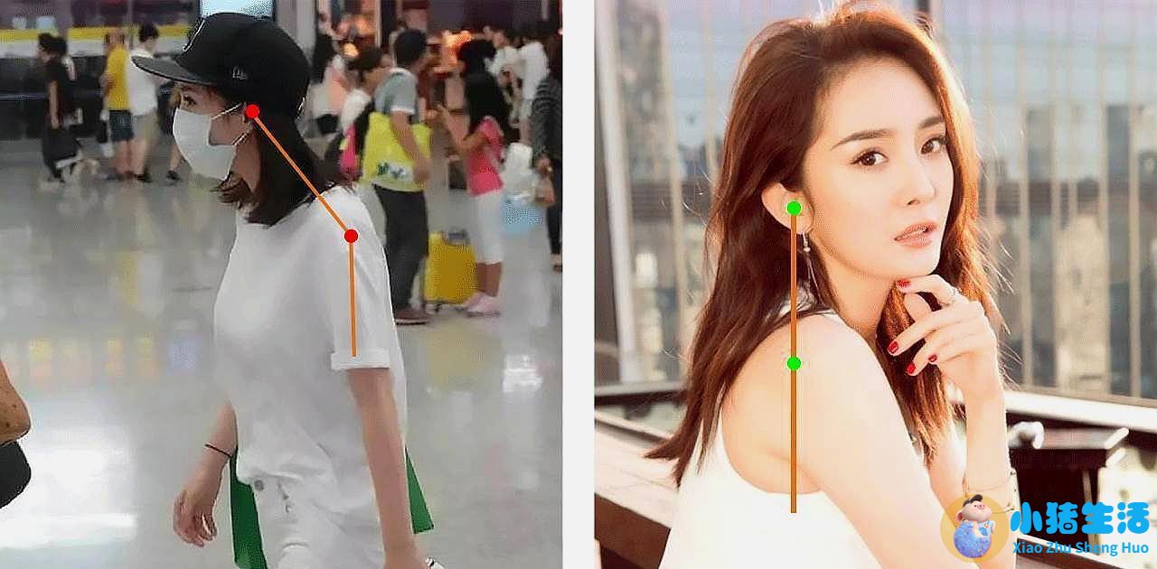 杨幂减肥方法大公开